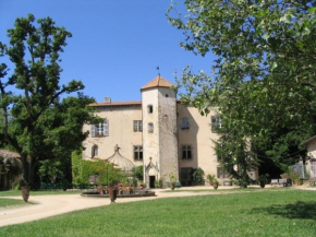  Chateau De La Chassaigne  Тьерс